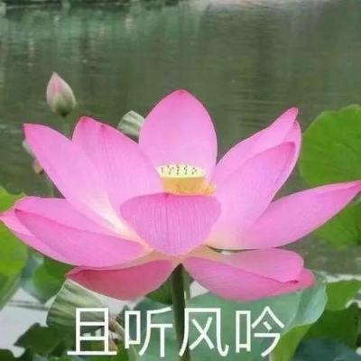 极速漂移四轮驱动正版下载