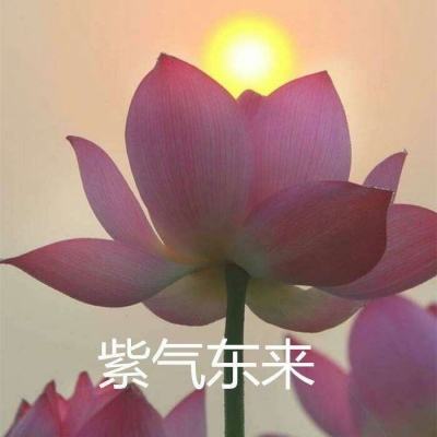 凡人修仙录游戏下载